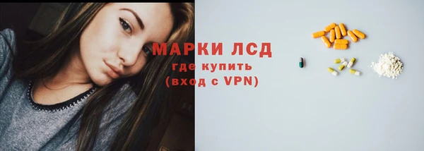 СК Снежногорск