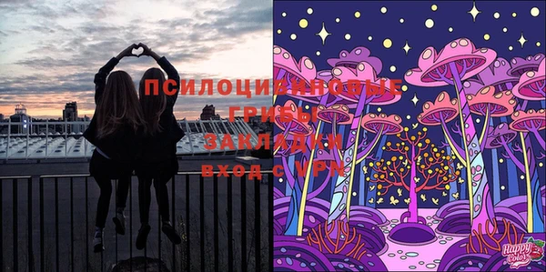 героин Богданович