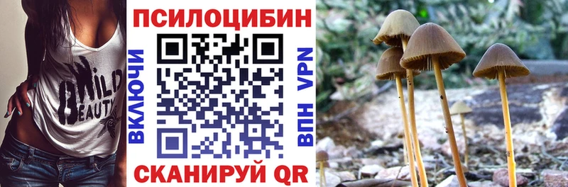 Галлюциногенные грибы GOLDEN TEACHER  где можно купить   Дубна 